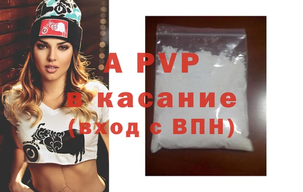 прущий лед Бородино
