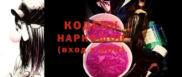 прущий лед Бородино