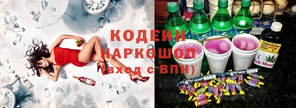 прущий лед Бородино